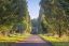 Ulmenallee